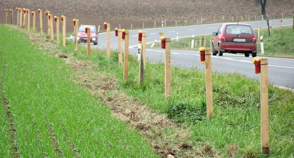 Sada pachových ohradníků Pacholek proti prasatům 2+1